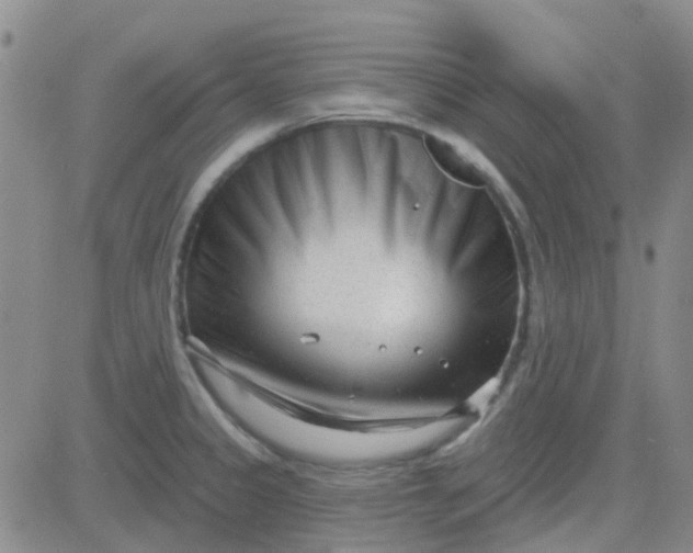 X0000083991333200703021929