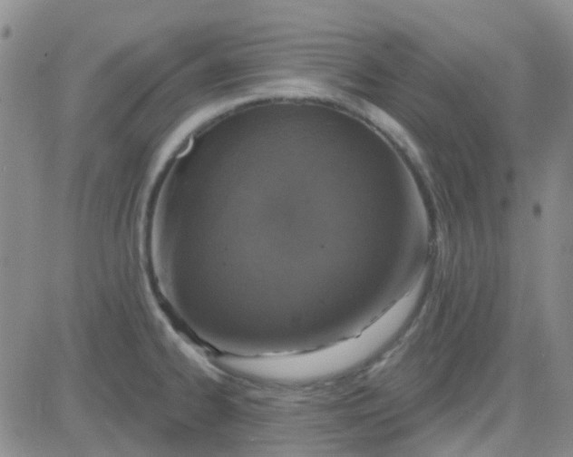 X0000083991334200703021929