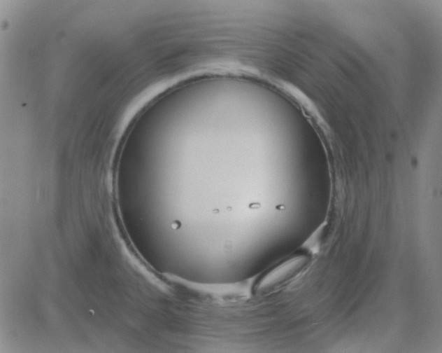 X0000083991335200703021929