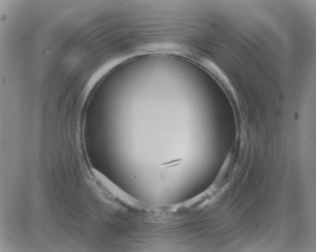 X0000083991336200703021929