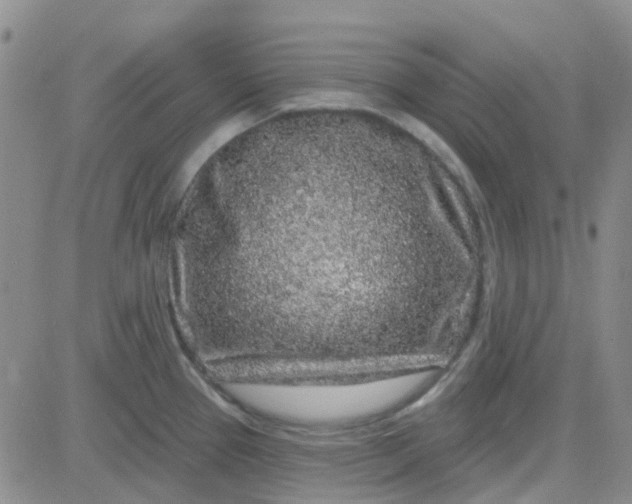 X0000083991337200703021929