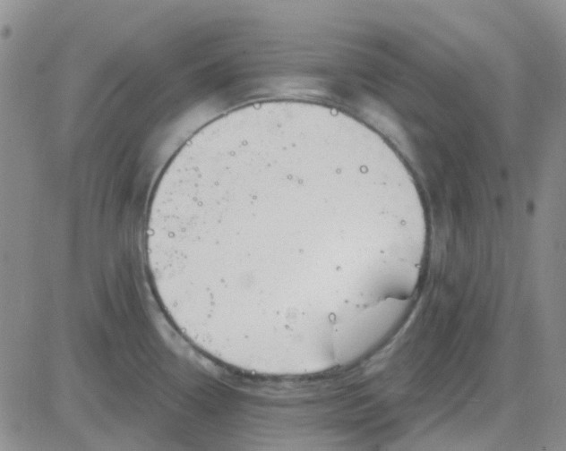 X0000083991338200703021929