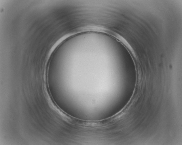 X0000083991339200703021929