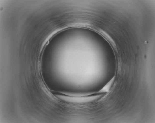 X0000083991340200703021929