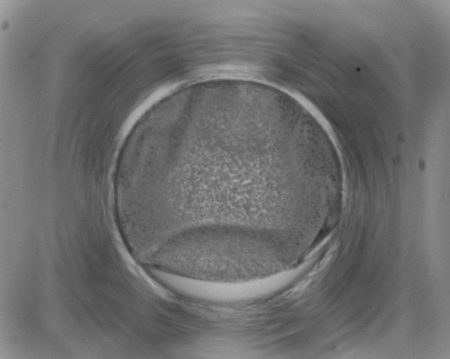 X0000083991341200703021929