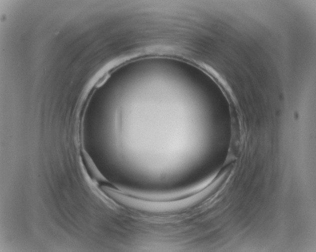 X0000083991342200703021929