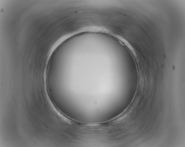 X0000083991343200703021929