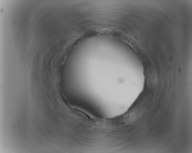 X0000083991345200703021928