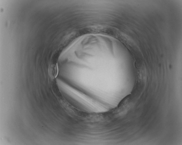 X0000083991346200703021928