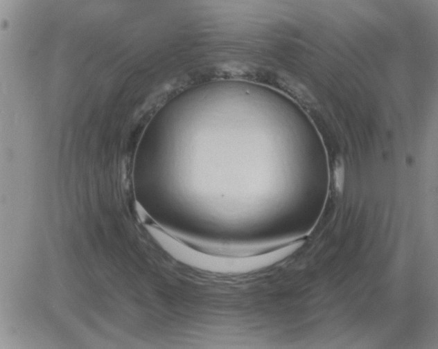 X0000083991347200703021928