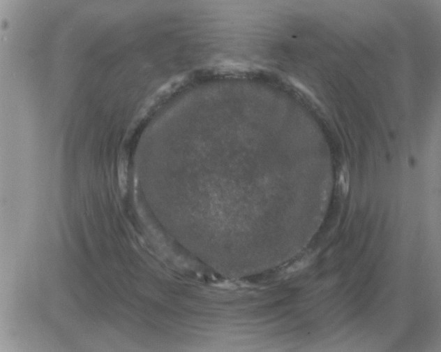 X0000083991348200703021928