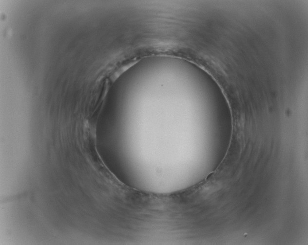 X0000083991349200703021928