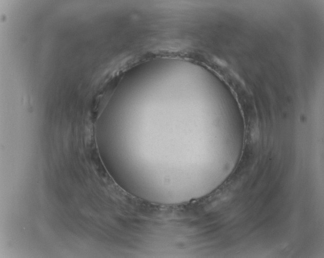 X0000083991350200703021928