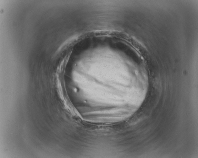 X0000083991351200703021928