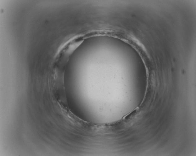 X0000083991352200703021928