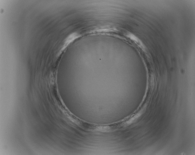 X0000083991353200703021928