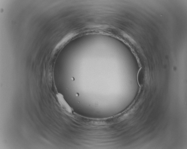 X0000083991354200703021928