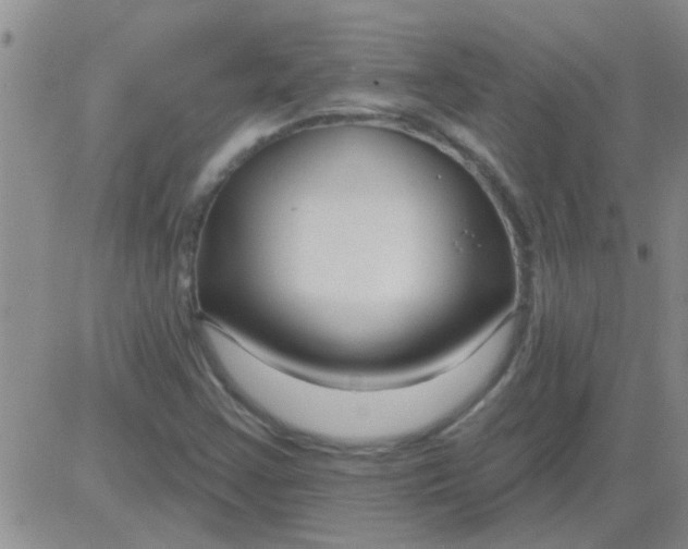 X0000083991355200703021928