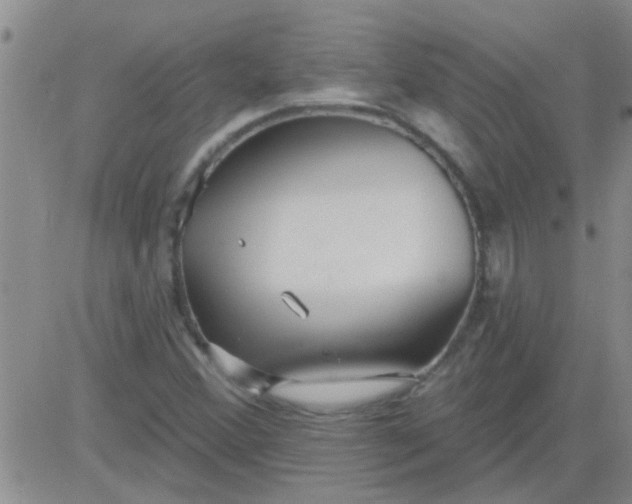 X0000083991356200703021928