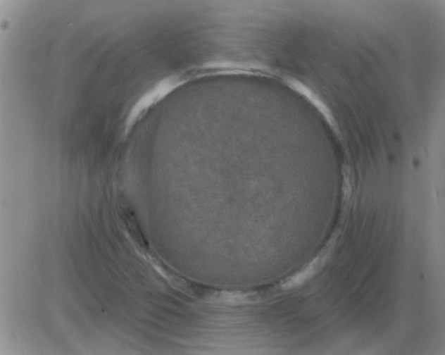 X0000083991357200703021928