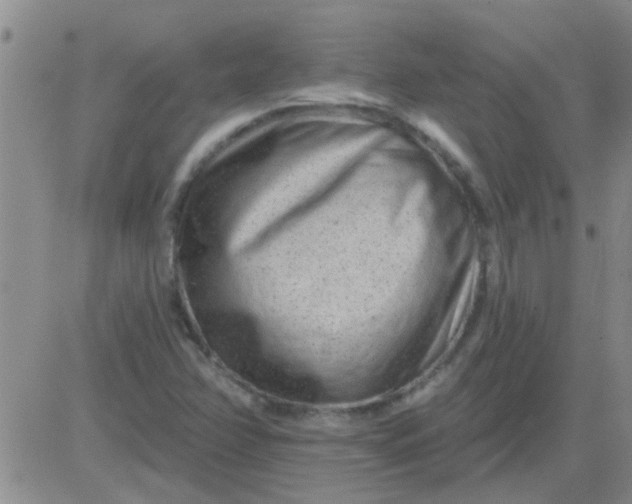 X0000083991358200703021928