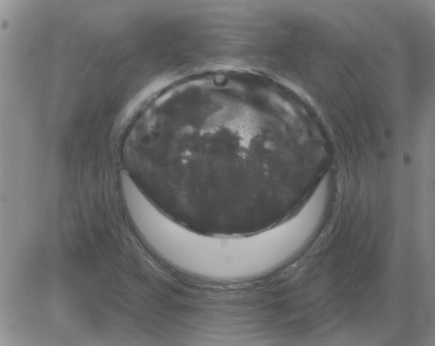 X0000083991359200703021928