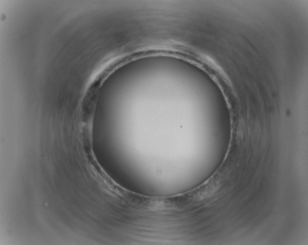 X0000083991360200703021928