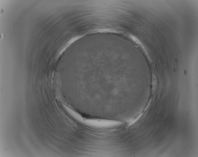 X0000083991361200703021928