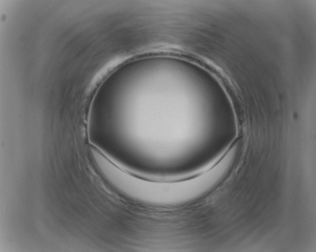 X0000083991363200703021928