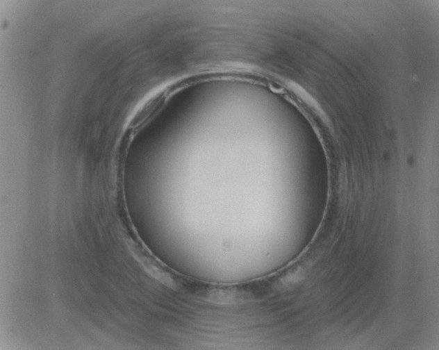 X0000083991364200703021928