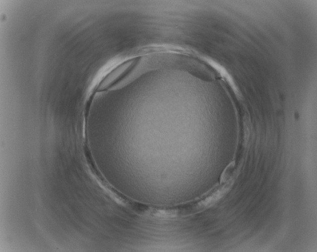 X0000083991365200703021928