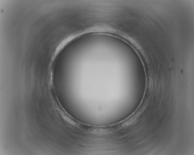 X0000083991366200703021928