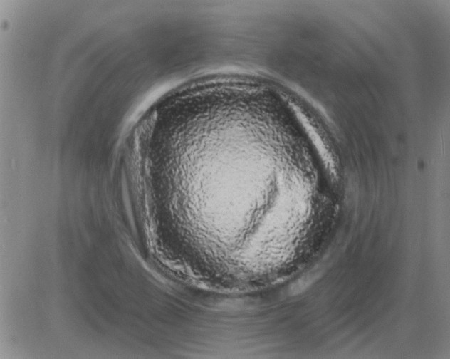 X0000083991367200703021928