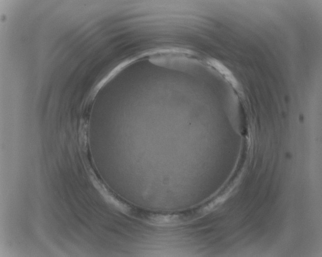 X0000083991369200703021928