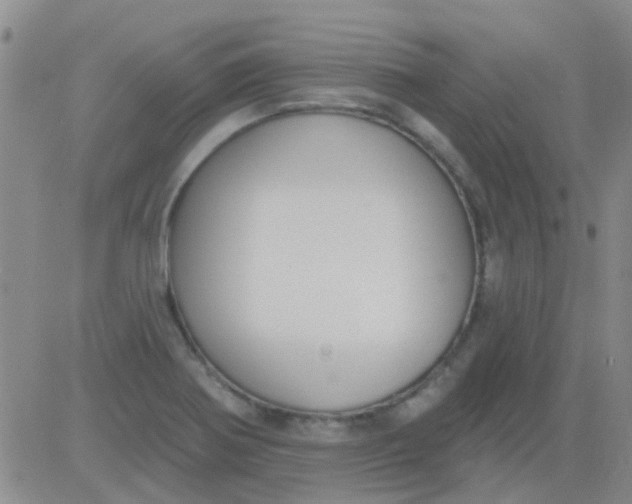 X0000083991370200703021928