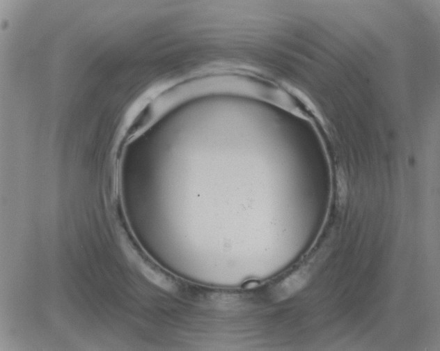 X0000083991371200703021928