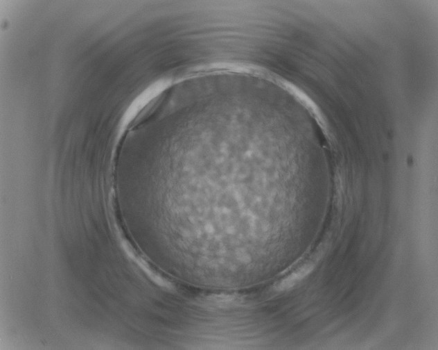 X0000083991373200703021928