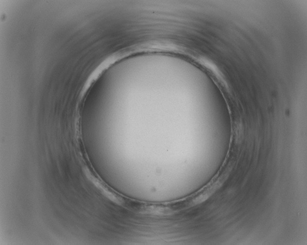 X0000083991374200703021928