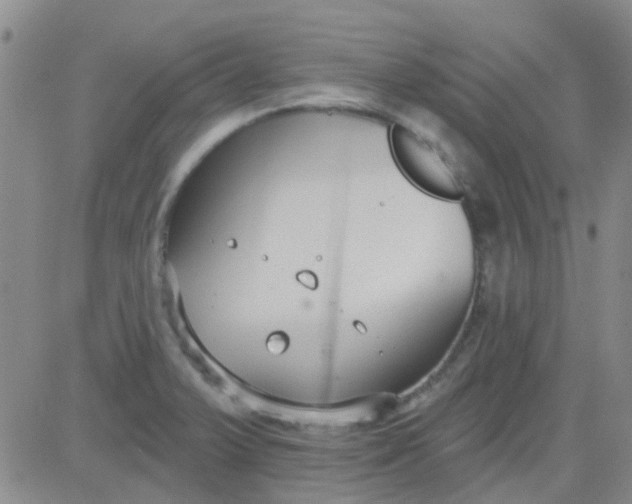 X0000083991375200703021928