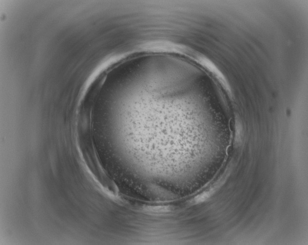 X0000083991376200703021928