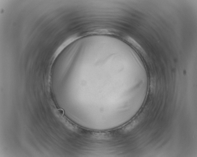 X0000083991378200703021928