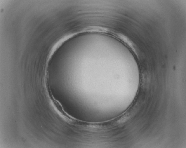 X0000083991379200703021928