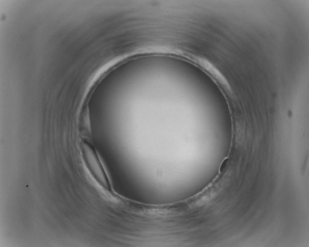 X0000083991380200703021928