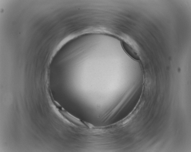 X0000083991382200703021928