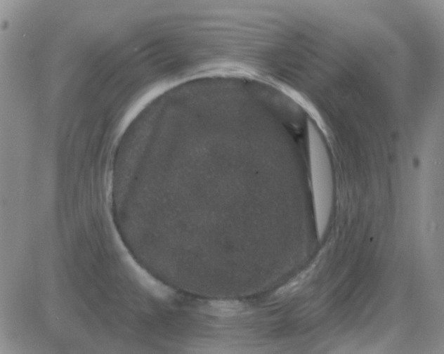 X0000083991383200703021928