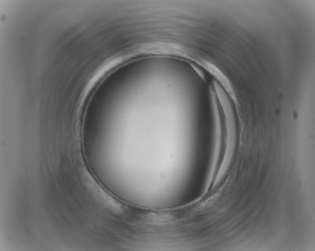 X0000083991384200703021928