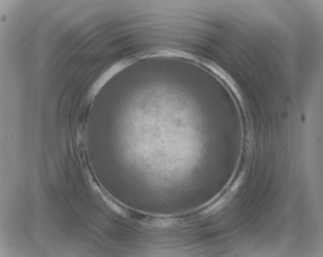 X0000083991385200703021928