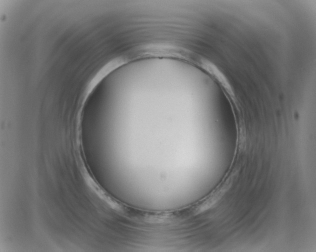 X0000083991386200703021928