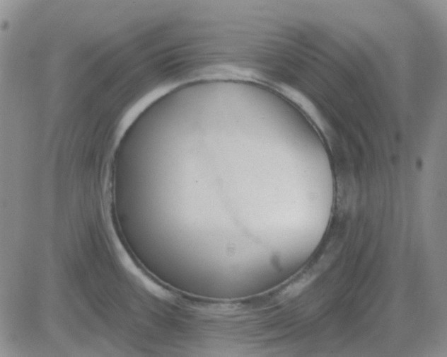 X0000083991387200703021928