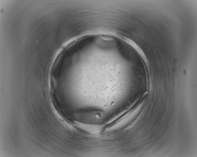 X0000083991388200703021928